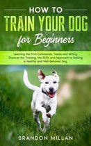 How to Train your Dog for Beginners