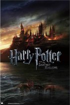 Grupo Erik Harry Potter and the Deathly Hallows  Poster - 61x91,5cm
