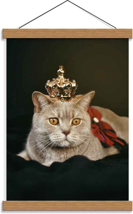 Schoolplaat – King Kat - 30x40cm Foto op Textielposter (Wanddecoratie op Schoolplaat)