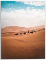 Dibond - Rij Kamelen in de Woestijn - 30x40cm Foto op Aluminium (Met Ophangsysteem)
