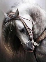 Diamond painting Schimmel paard - 15x20 - full - rond
