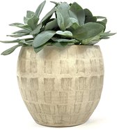 Lucy’s Living Luxe Bloempot LUXY Taupe/Beige – ø 19 x 14 cm - binnen – buiten – luxe – accessoires – tuin – decoratie – bloemen - aardewerk - planten - plantenhouder