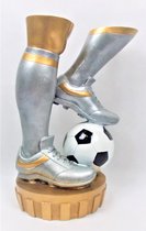 Voetbal - Award - Figuur - Trofee - 36cm hoog - Voetbalschoen