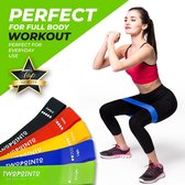 TWOPOINTO - Weerstandsbanden set van 5 Elastieken - Resistance bands - Incl. Handleiding, Draagtas + Online Fitness Programma