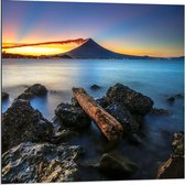 Dibond - Boomstam op Rotsen aan het Water - 80x80cm Foto op Aluminium (Wanddecoratie van metaal)