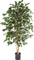 Kunstplant Ficus exotica 150 cm