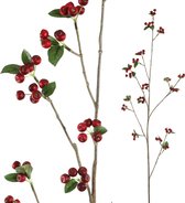 PTMD Berry Kunstplant - 89 x 28 x 140 cm - Kunststof - Donkerrood