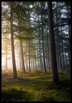 Poster Into The Woods - 30x40 cm - Natuur Poster - WALLLL