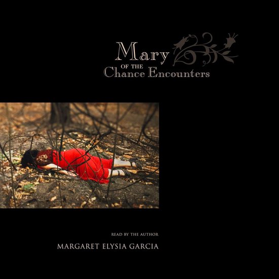 Mary of the Chance Encounters - cover