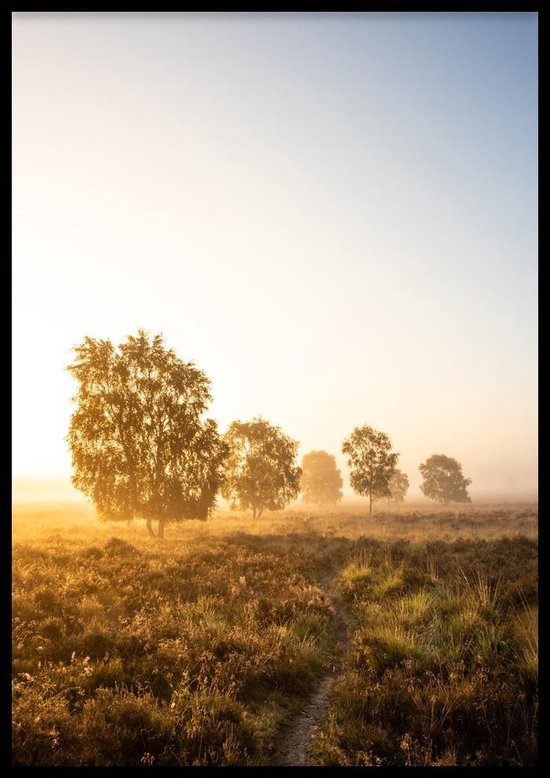 Affiche Green Day - 30x40 cm Avec Cadre Photo - Affiche Nature - WALLLL