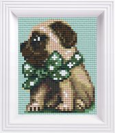 Pixel hobby geschenkdoos Hond-Pug - Groen