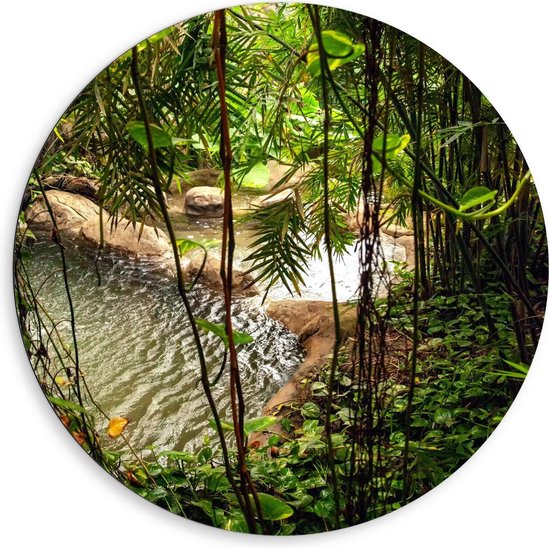 Dibond Wandcirkel - Tropische Planten Naast een Rivier - 80x80cm Foto op Aluminium Wandcirkel (met ophangsysteem)