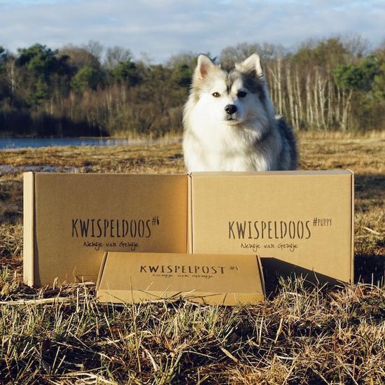 Kwispeldoos #7 - Unieke verrassingsdoos voor je hond met snacks en speeltjes - Honden cadeau