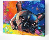Schilderen Op Nummer Volwassenen DIY Paint By Number Compleet Hobby Pakket op Frame met Vernis - ®Arty Bee - Franse Bulldog 50x40cm