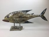 Vis xxl ca 60 cm