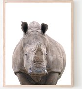 Poster Jungle / Safari Neushoorn - 70x50cm - Baby / Kinderkamer - Dieren Poster - Muurdecoratie