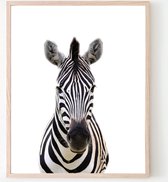 Poster Jungle / Safari Zebra  - 70x50cm - Baby / Kinderkamer - Dieren Poster - Muurdecoratie