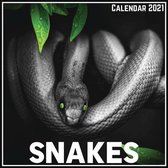 Snakes Calendar 2021