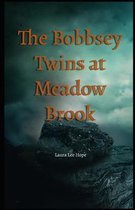 The Bobbsey Twins at Meadow Brook Illustrated