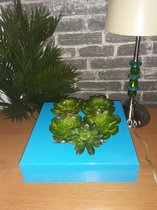 TeleBeni Decoratieve houder voor aan de muur of als plantenbakje los