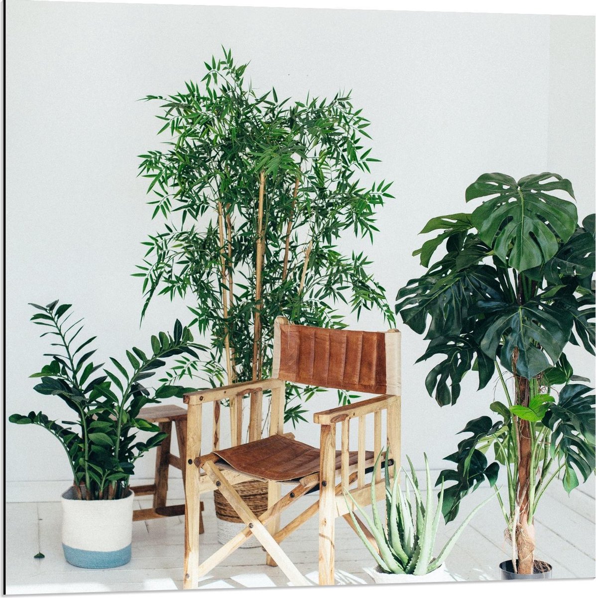Dibond - Tuinstoeltje tussen Planten - 80x80cm Foto op Aluminium (Wanddecoratie van metaal