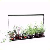 Kweekset met Groeilamp | Binnentuin met Kweeklamp | Kruidentuin | Indoor Garden