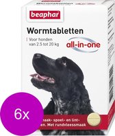 Beaphar Wormtablet All In One Hond - Anti wormenmiddel - 6 x 2 tab 2.5 Tot 20 Kg