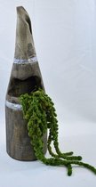 Robuust, landelijk, sober: houten pot met hangplant. 47 x Ø 14 cm