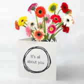 Bloomincard Piccolini - It's all about you - bloemen en boeketten - Verse mini gerbera's met unieke vaas - Brievenbusbloemen - Verrassen met Piccolini's en speciale kaart die je om