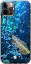 6F hoesje - geschikt voor iPhone 12 Pro - Transparant TPU Case - Coral Reef #ffffff