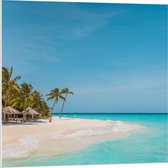 Forex - Tropisch Wit Strand met Blauwe Zee en Palmbomen - 80x80cm Foto op Forex