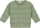 Prénatal Newborn Vestje - Baby Kleding voor Jongens - Maat 56 - Groen