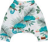 Chameleons Baggy Shorts Bio-Babykleertjes Bio-Kinderkleding