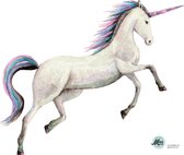 Muursticker unicorn - 65x55cm - handgeschilderd door Mies