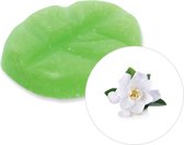 Scentchips® Gardenia geurchips - XL doosje 38 geurchips