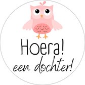 20 x Sluitsticker Geboorte Meisje - Hoera Een Dochter - Stickervel | Roze | 40 mm | Geboorte Sticker | Sluitzegel | Sticker Geboortekaart | Baby nieuws