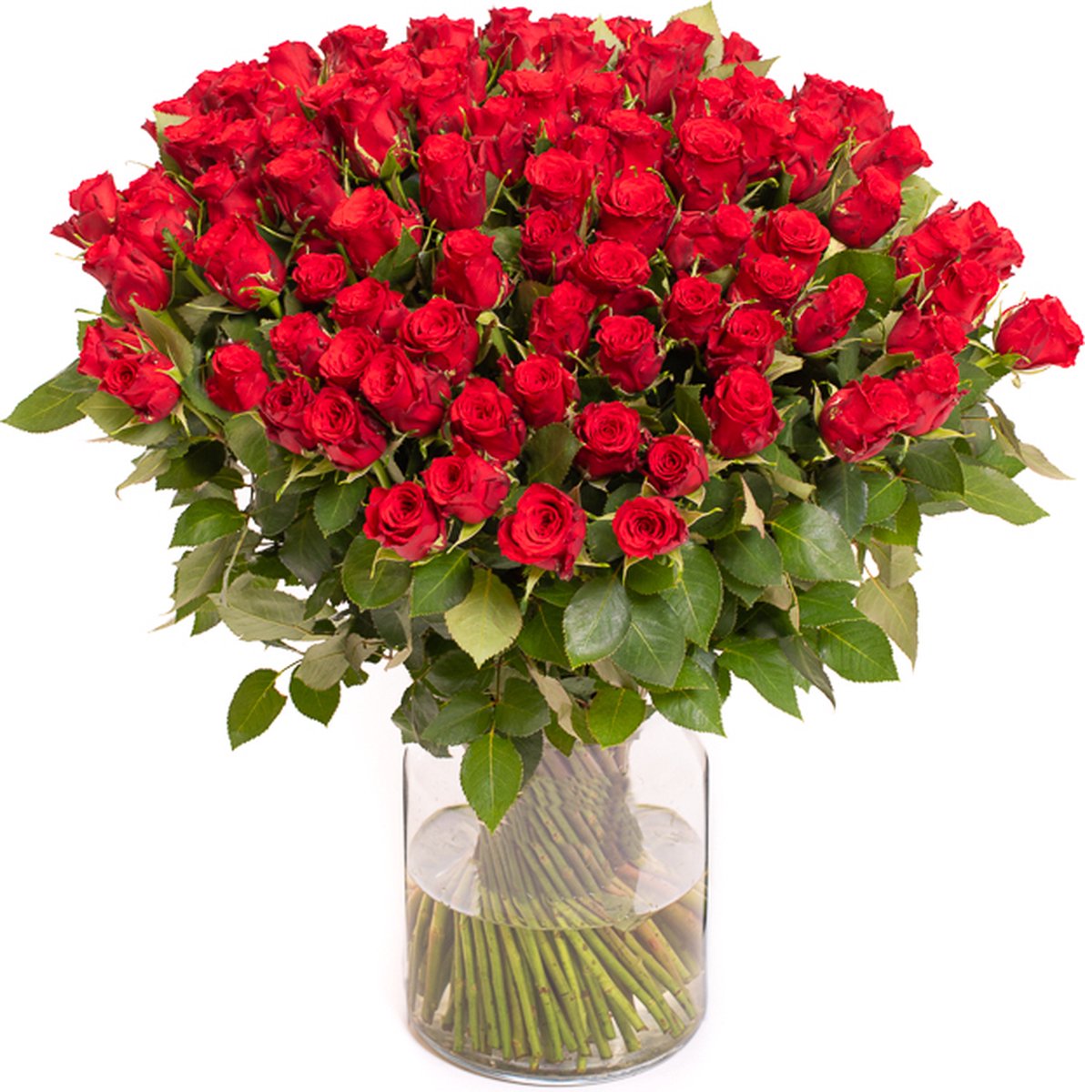 100 Roses Rouges - Bouquet de Roses | bol