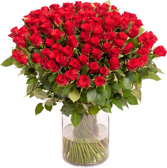 100 Roses Rouges - Bouquet de Roses | bol.com