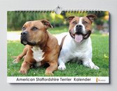 American Staffordshire kalender XL 42 x 29.7 cm | Verjaardagskalender Staffordshire | Verjaardagskalender Volwassenen