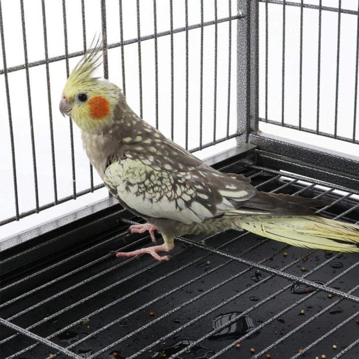 NINGVIHE Vogelbad voor kooi, vogelbad, vogelkooi-accessoires papegaaienbad voor kleine vogels, kanarische parkieten, papegaaien (A-stijl