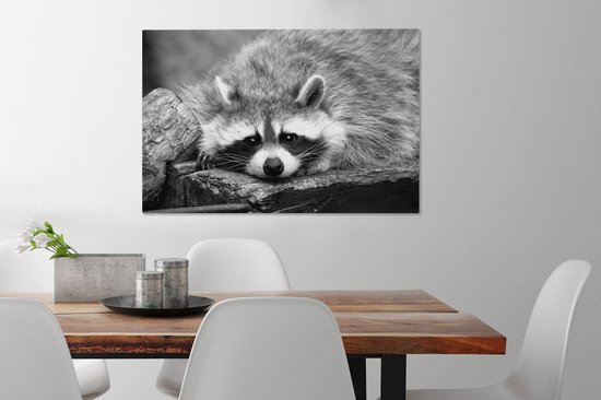 Tableau Peinture Raton Laveur Couché - noir et blanc - 90x60 cm - Décoration murale