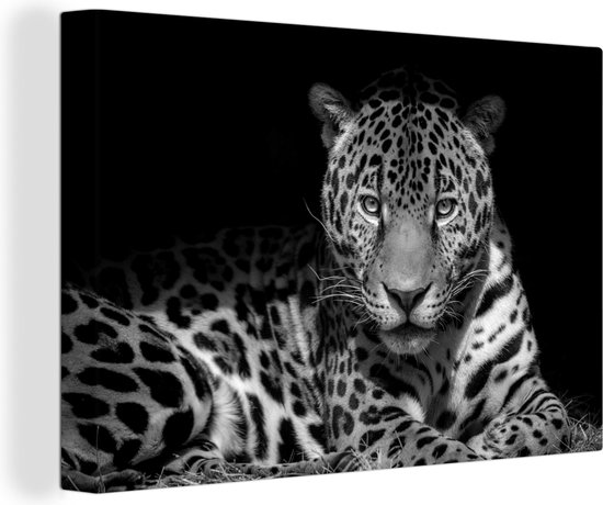 Canvas Schilderij Zonnestralen schijnen op een Jaguar in een grot - zwart wit - Wanddecoratie