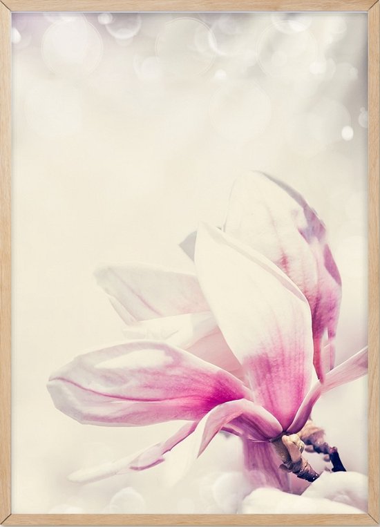 Poster Met Lijst - Bloemen Magnolia Poster (21x30cm)