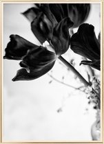 Poster Met Metaal Gouden Lijst - Tulpen Mason Poster