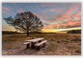 Boom op de Veluwe in Nederland op Aluminium - Foto op Dibond - Aluminium Schilderij - 60x40 cm