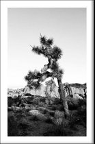 Walljar - Woestijnboom - Zwart wit poster