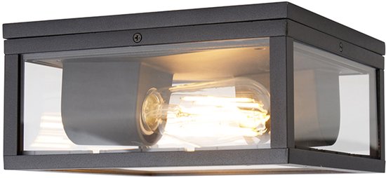 Zwarte rechthoekige buitenlamp met glazen wanden en één zichtbare gloeilamp.