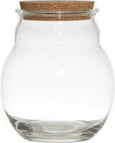 Glazen voorraadpot/snoeppot/terrarium vaas van 17 x 20 cm met kurk dop - Bewaarpot/Opslagpot