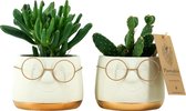 Plantophile plant-deco collectie - leuke bril pot met plant - wit met goud - medium