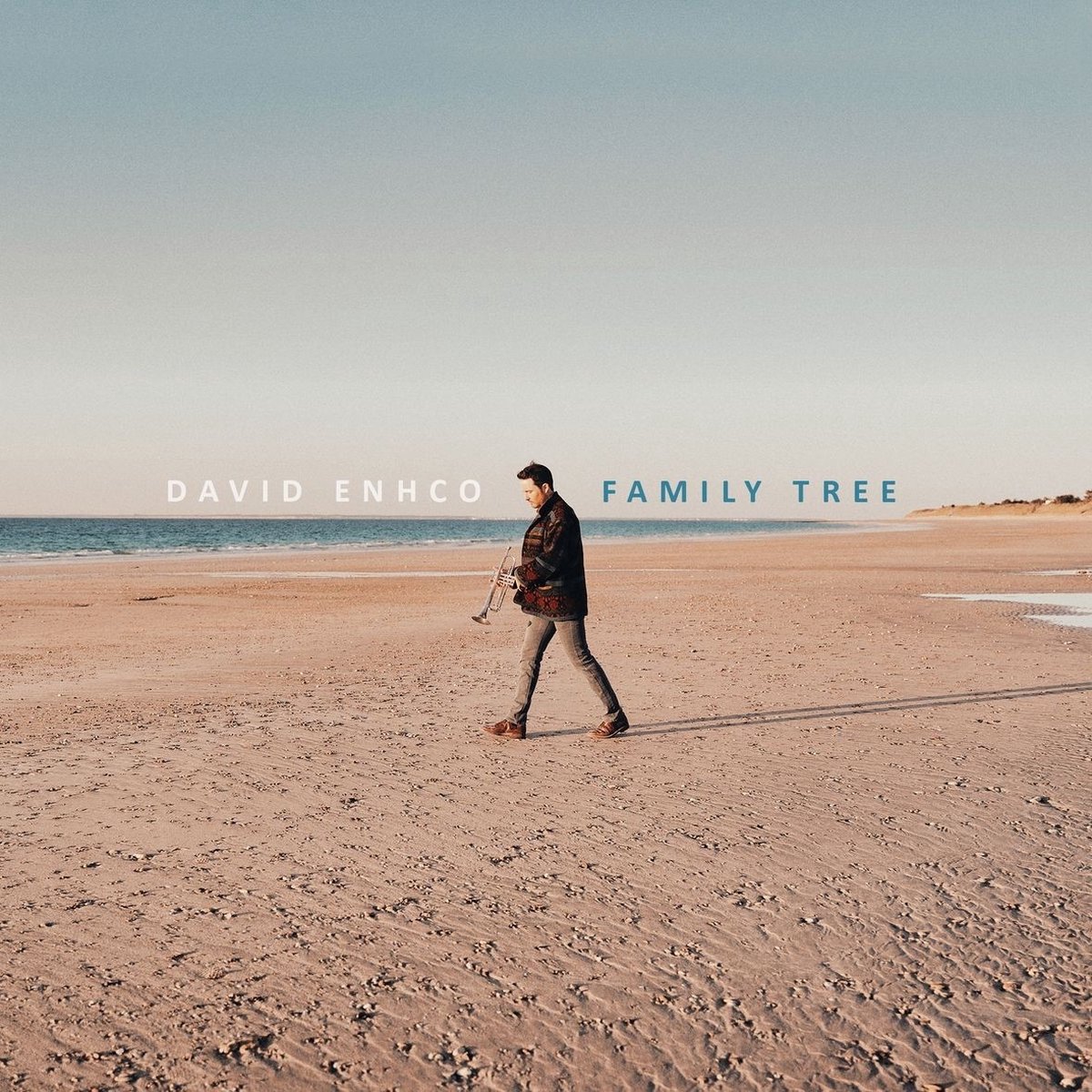 David Enhco - Family Tree (CD)